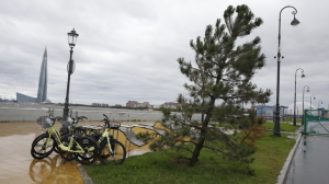 В Петербурге ожидается усиление ветра до 18 м/с во вторник