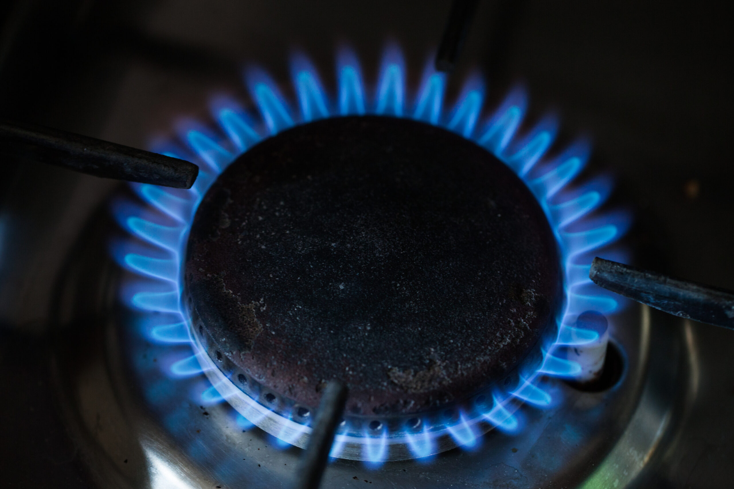 Счета в «Газпромбанке» для покупки российского газа открыли 20 европейских  компаний