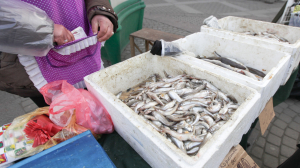 Корюшка идет: когда в Петербурге откроются сезонные точки по продаже рыбы