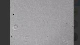 Роскосмос показал фото астероида, пролетевшего на минимальном расстоянии от Земли