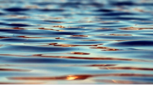В акватории Невы ликвидировали разлив нефтепродуктов