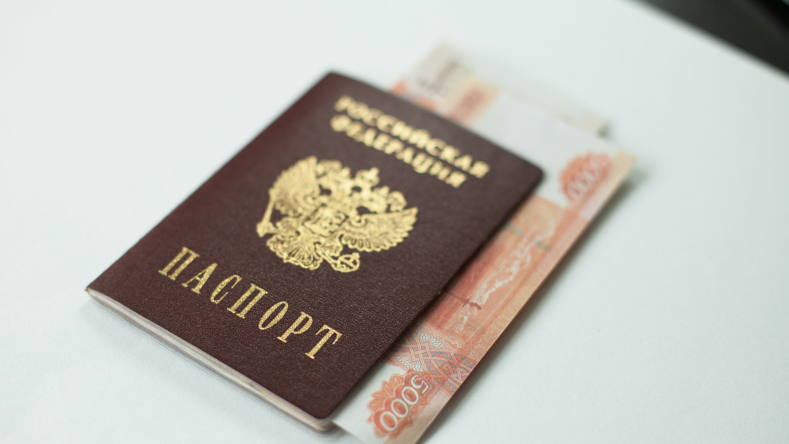 По 100 тысяч на человека: россияне смогут получить новое денежное пособие