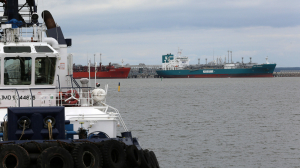 Прибалты вслед за портами закрывают для РФ границы: возможные проблемы пытаются усугубить «экоактивисты»