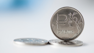 Ошибка или намек Путину? Канцлер Австрии выложил фото с рублями вместо евро