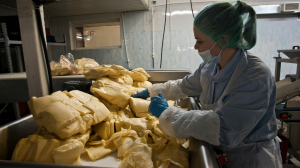 Петербургским производителям сыров не хватает ингредиентов для изготовления продукции