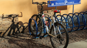 Велодорожку и лыжероллерную трассу откроют в городском парке Выборга