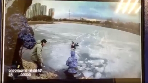 Два человека провалились под лед на Волковском пруду в Петербурге