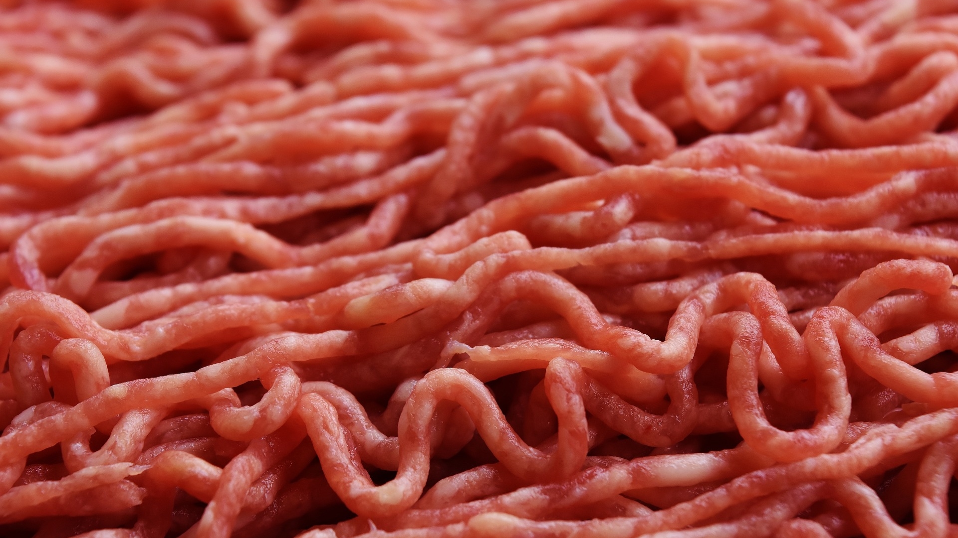 Корейские ученые создали аналог мяса из личинок мучных хрущаков и сахара