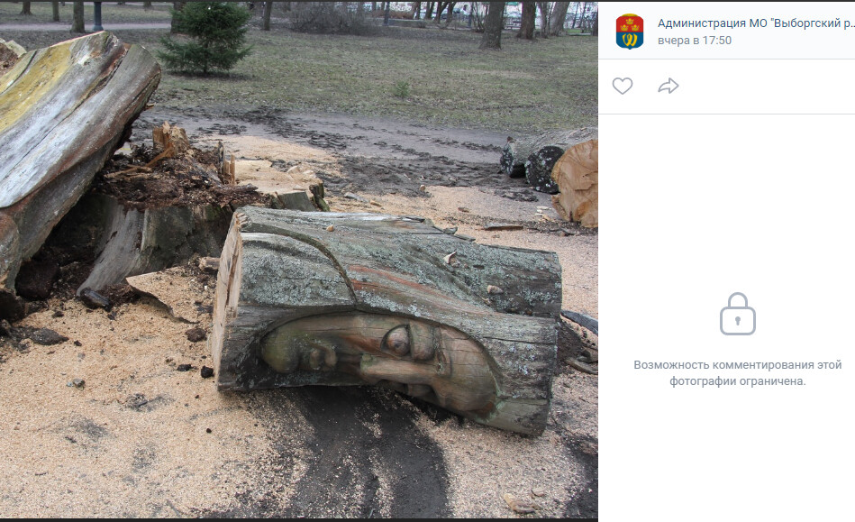 «Дерево с лицами» срубили в Выборге во время субботника