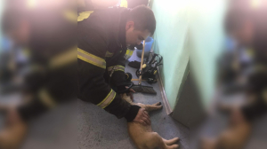 Пожарные реанимировали собаку из горевшей квартиры в Киришах