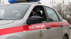 В Петербурге задержали рецидивистку за кражу памперсов на 36 тысяч рублей
