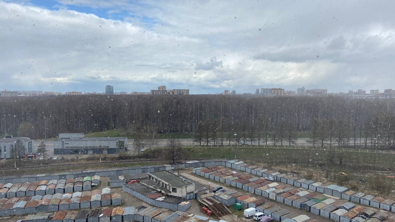 В конце апреля в Петербурге пошел снег