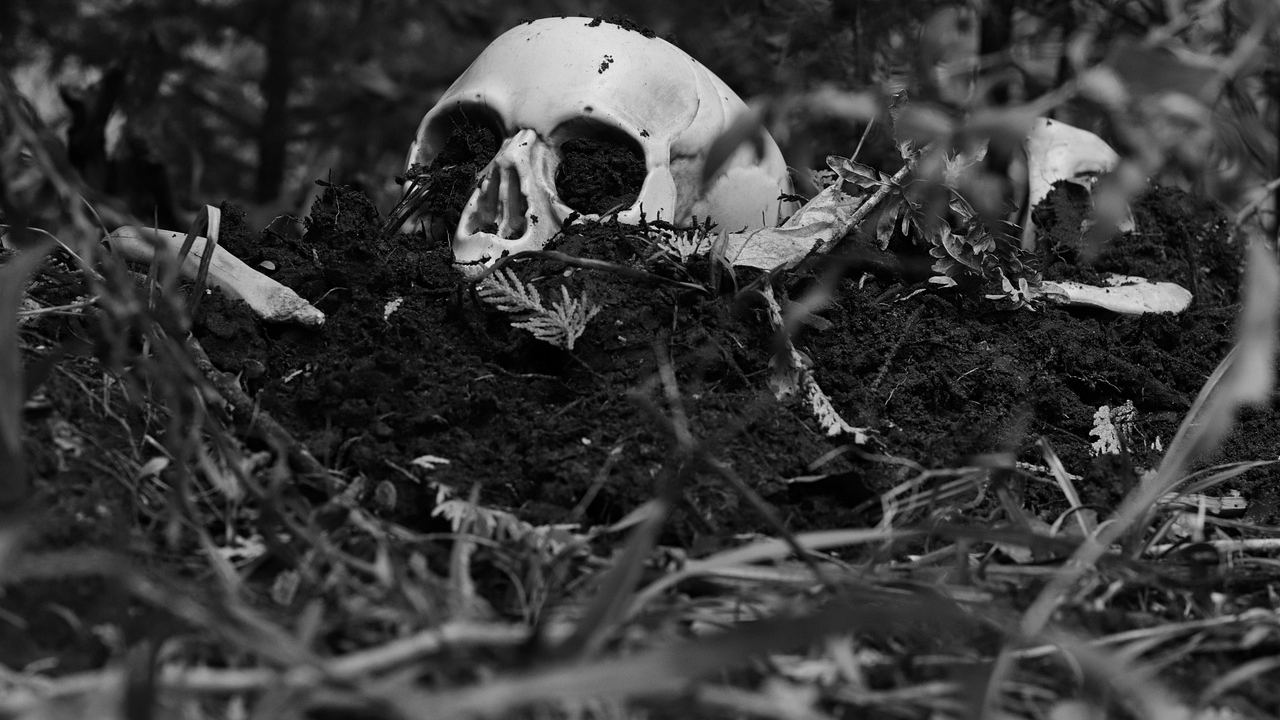 После изучения отрытого скелета в Муринском парке СК возбудил уголовное дело, но не об убийстве