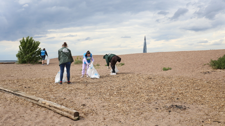 Молодежная акция «Чистый берег» по сбору мусора состоится в Ломоносове 4 июня