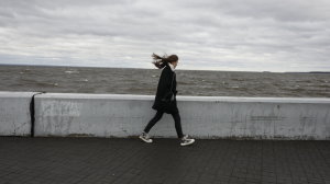 Уровень погодной опасности в Петербурге стал «желтым» из-за ветра