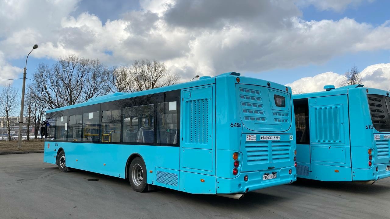 Почти 100 новых автобусных маршрутов запустили в Петербурге
