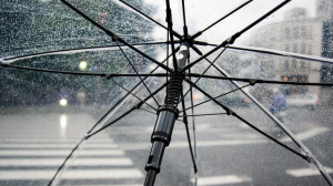 На проспекте Просвещения на дороге под дождем лежит сбитый человек