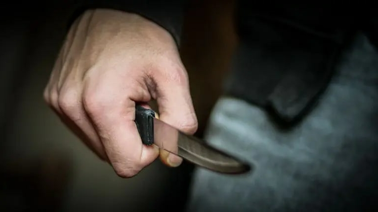 В Гатчинском районе полицейские обнаружили под окнами труп мужчины, а в подъезде его сожительницу с ножевым
