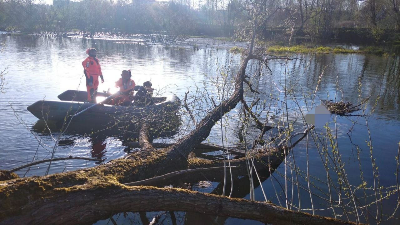 Труп неизвестного обнаружили в реке Ижора