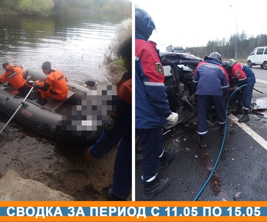 За пять дней спасатели Ленобласти совершили 14 выездов и спасли 2 человек