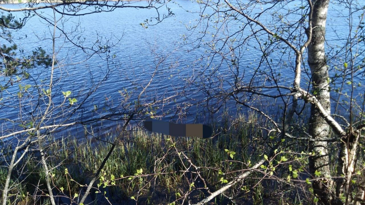 Прохожие обнаружили труп мужчины в озере Долгое