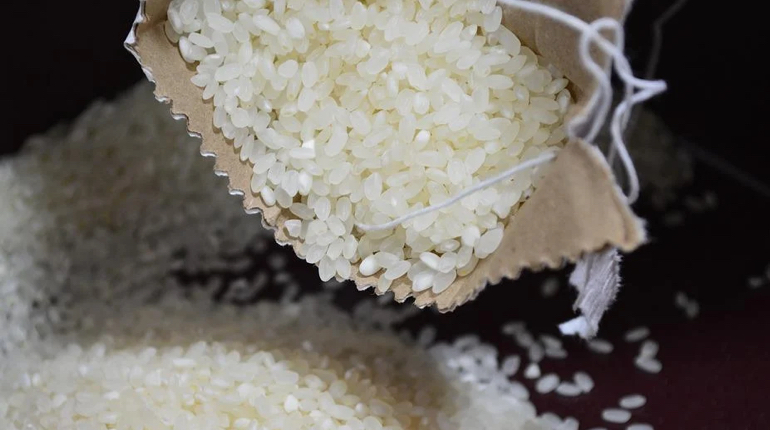 В РФ предложили запретить экспортировать рис