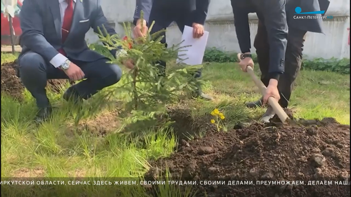 На Иркутской улице высадили ели в рамках экологической акции