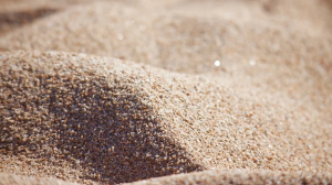 Глобальный спрос на песок может привести к мировому кризису