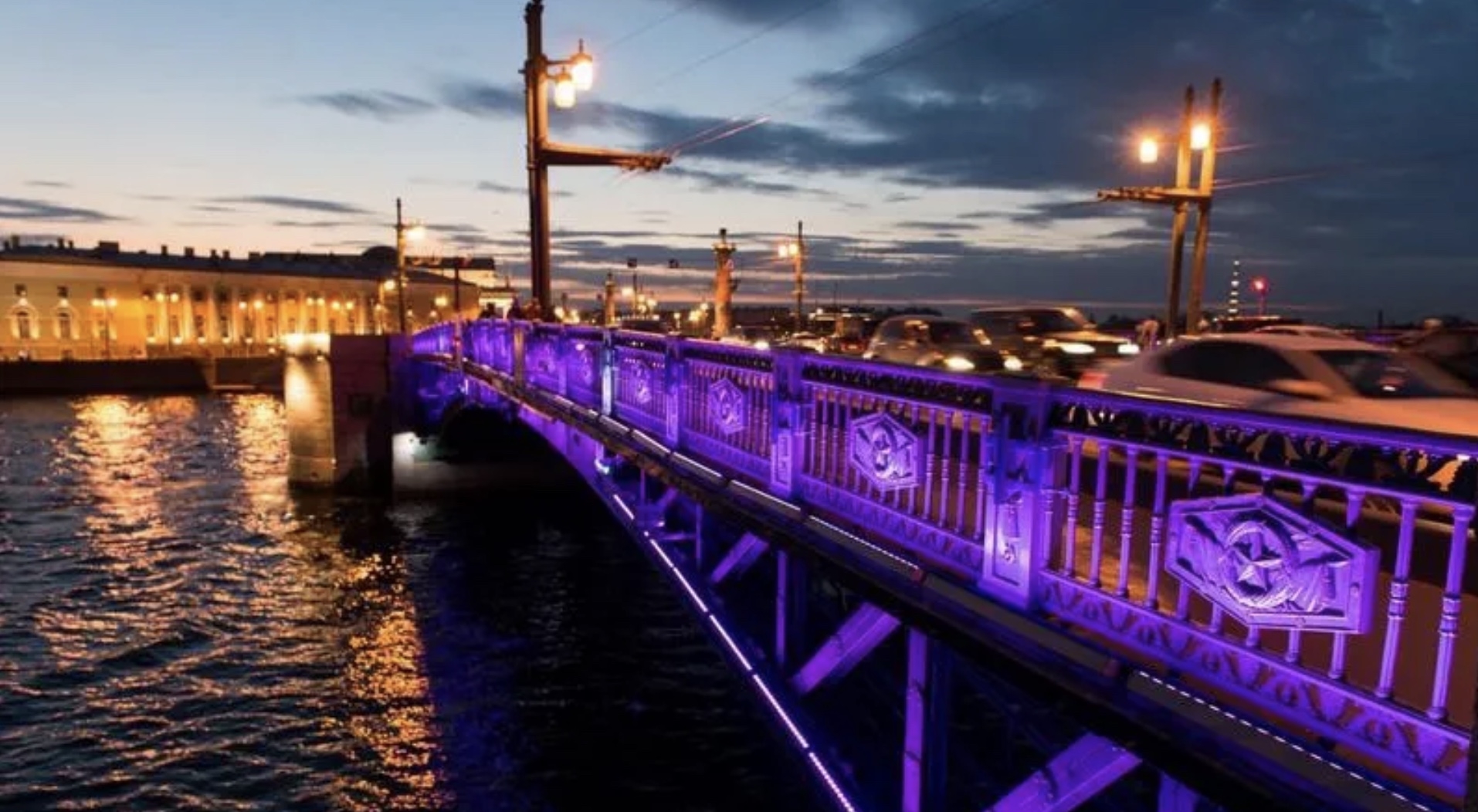 Дворцовый мост окрасится в фиолетовый в честь проблем с кишечником