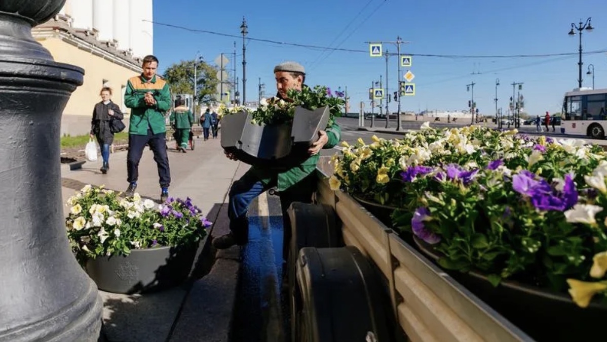 Центр Петербурга нарядили цветами ко Дню города