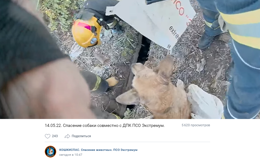 Неутомимые усилия