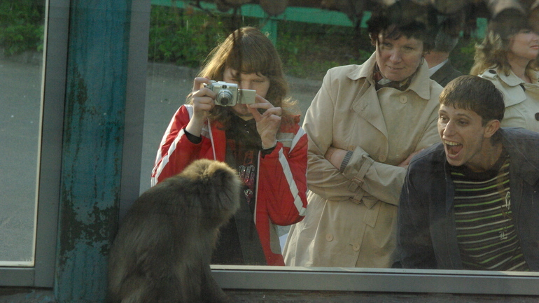 Ленинградский зоопарк будет закрываться на два часа раньше с 6 сентября
