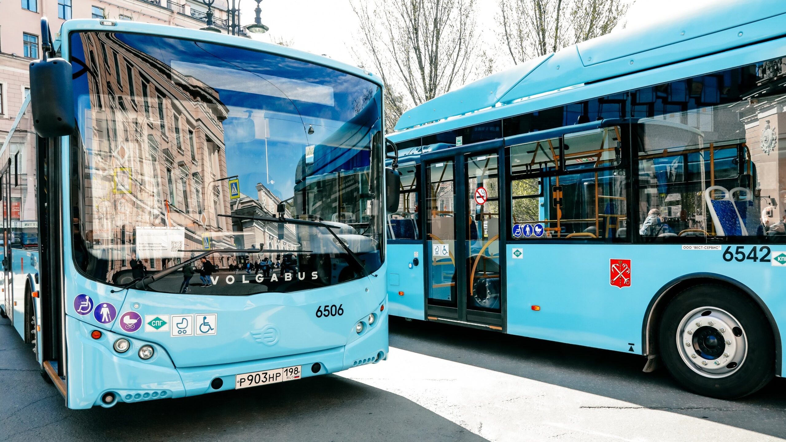 Современные «лазурные» автобусы вышли на два популярных маршрута в Петербурге