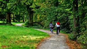 Петербуржцы выбрали топ-9 лучших парков с велодорожками