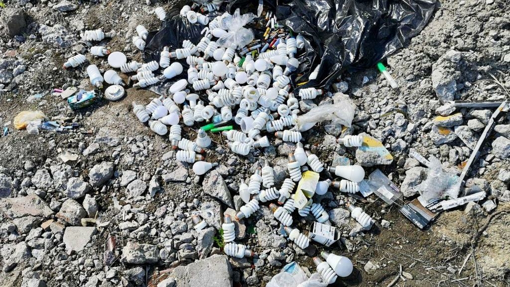 Петербургские экологи собрали за неделю пять тонн опасных отходов
