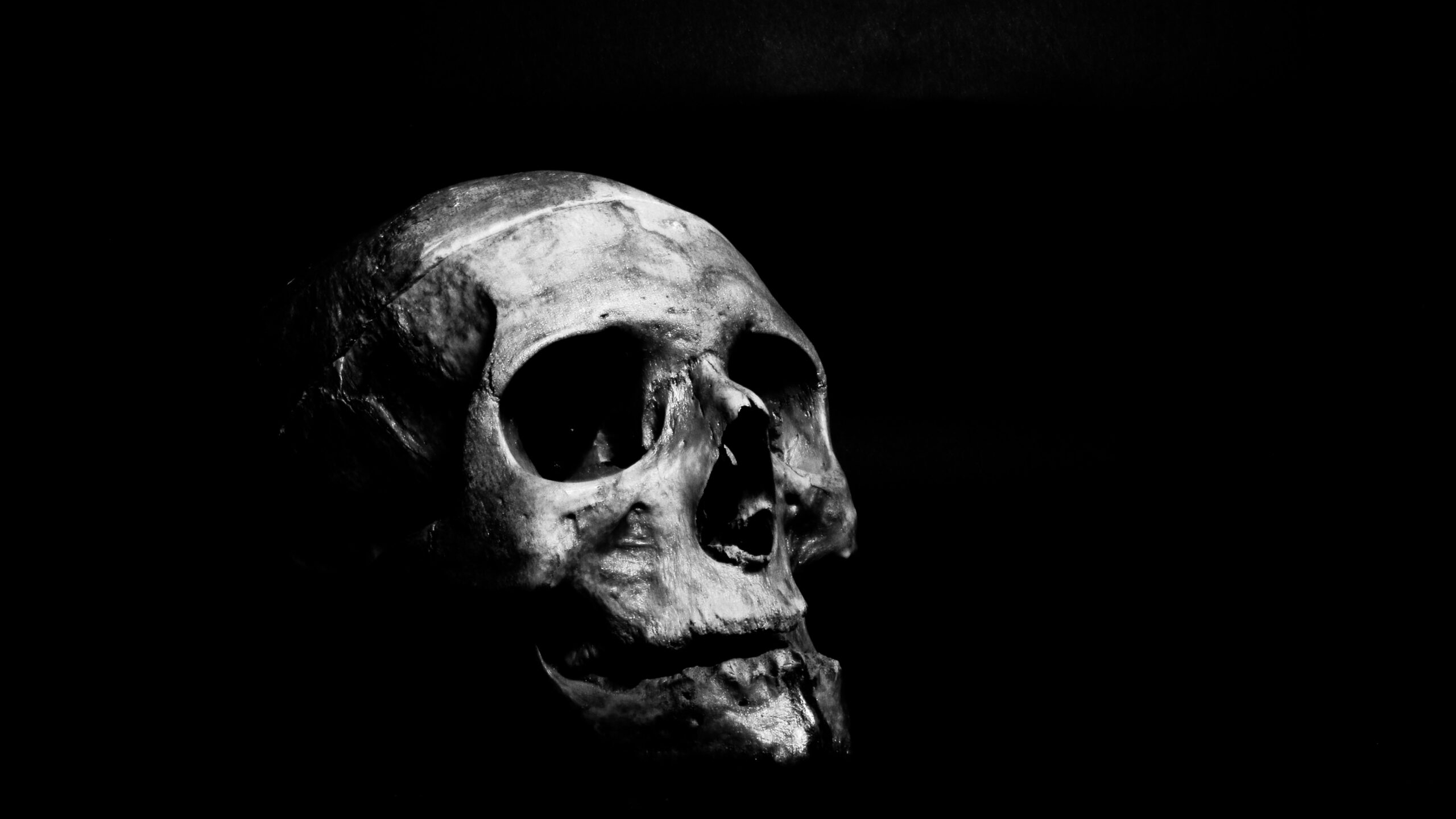 Пара нашла скелет человека в подвале доставшегося в наследство дома в Ленобласти