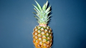 Эксперты рассказали петербуржцам о полезных свойствах ананаса