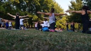 Жители Петербурга примут участие в Фестивале йоги