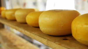 Ученые выяснили, что сыр эффективен при борьбе с Альгеймером