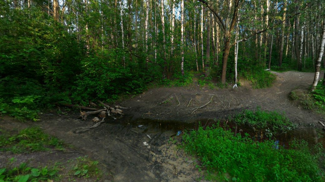 Закопавшего тела дочери и жены в Южно-Приморском парке петербуржца задержали спустя два года