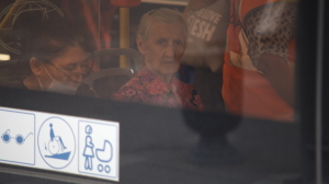 Проезд в общественном транспорте может стать бесплатным для жителей Ленобласти страше 75 лет