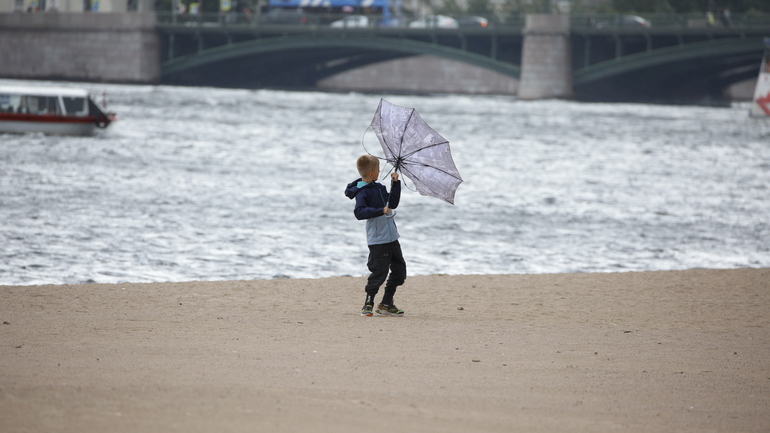 Петербуржцев предупредили о сильном ветре в прибрежных районах города 28 августа