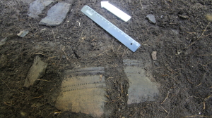 В ЯНАО нашли артефакты древних людей на берегу реки Горная Обь