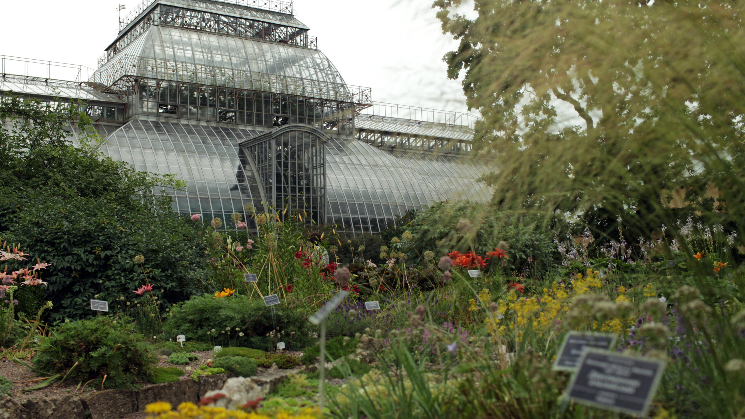 В Ботаническом саду откроется выставка «400 оттенков зеленого» 11 июля