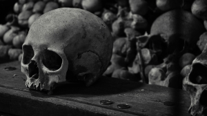 Человеческий скелет неизвестного случайно обнаружили в хозпостройке поселка Левашово