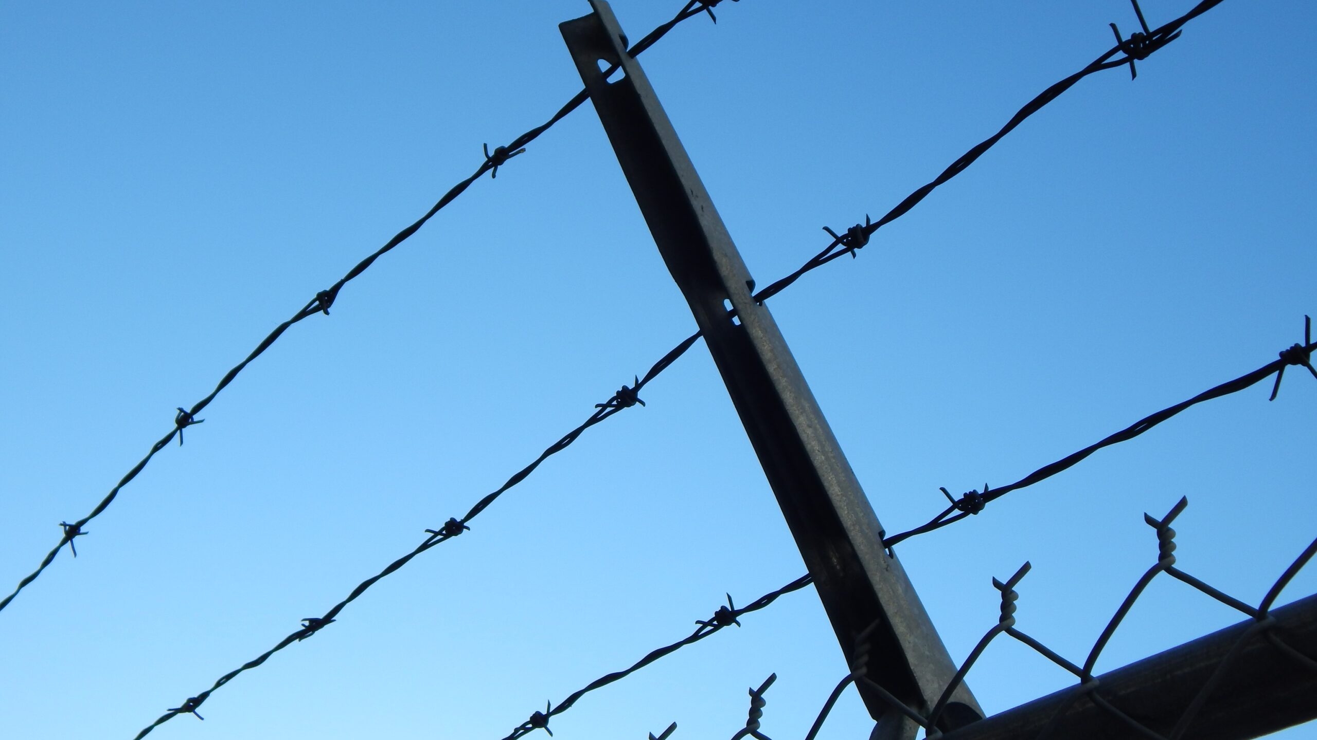 Трое заключенных умерли в воронежском СИЗО после отравления неизвестным веществом