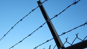 Трое заключенных умерли в воронежском СИЗО после отравления неизвестным веществом