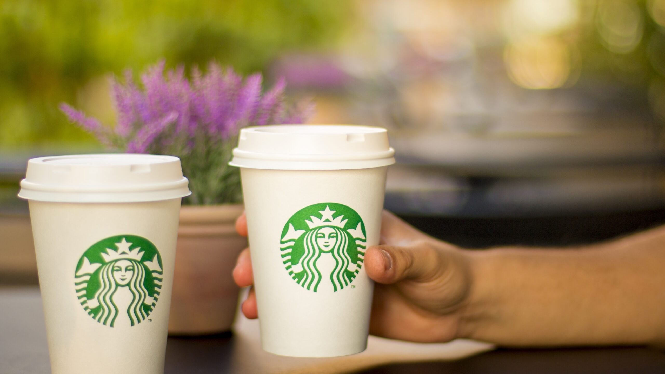 Сеть кофеен Starbucks в России могут переименовать в Stars Pinskiy Coffee