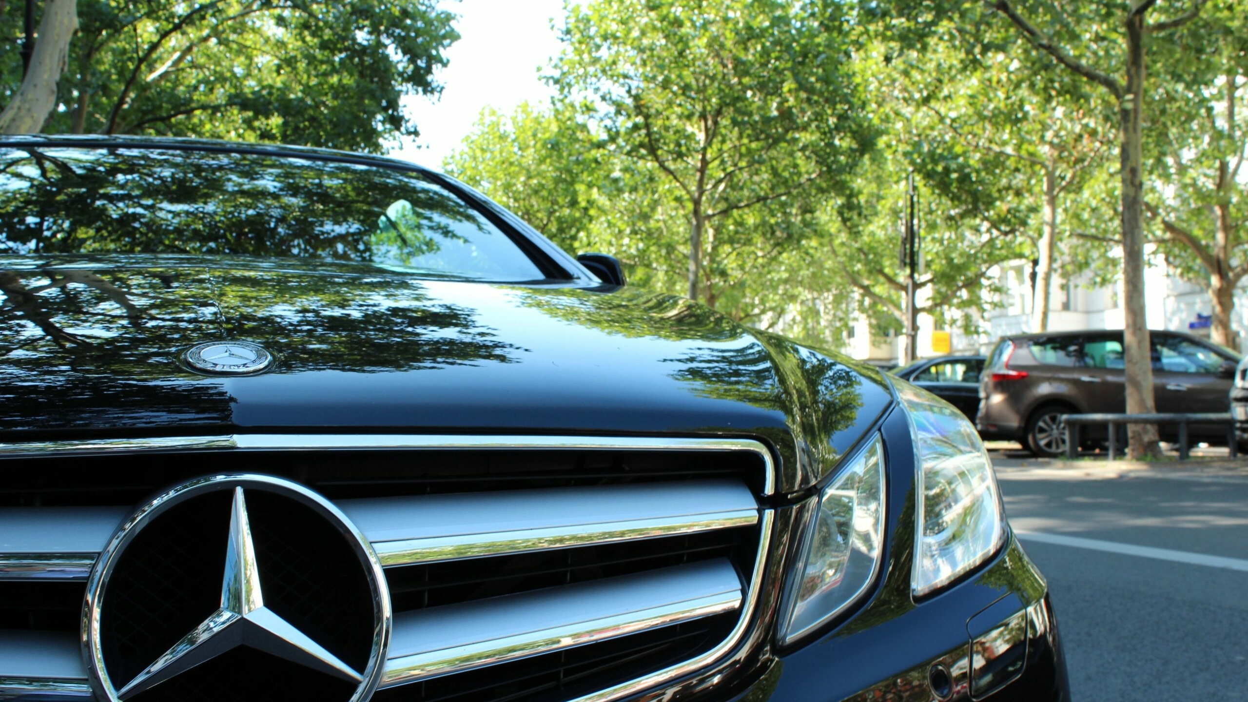 Mercedes-Benz ушел, а машины остались: кто из чиновников Смольного ценит немецкое качество