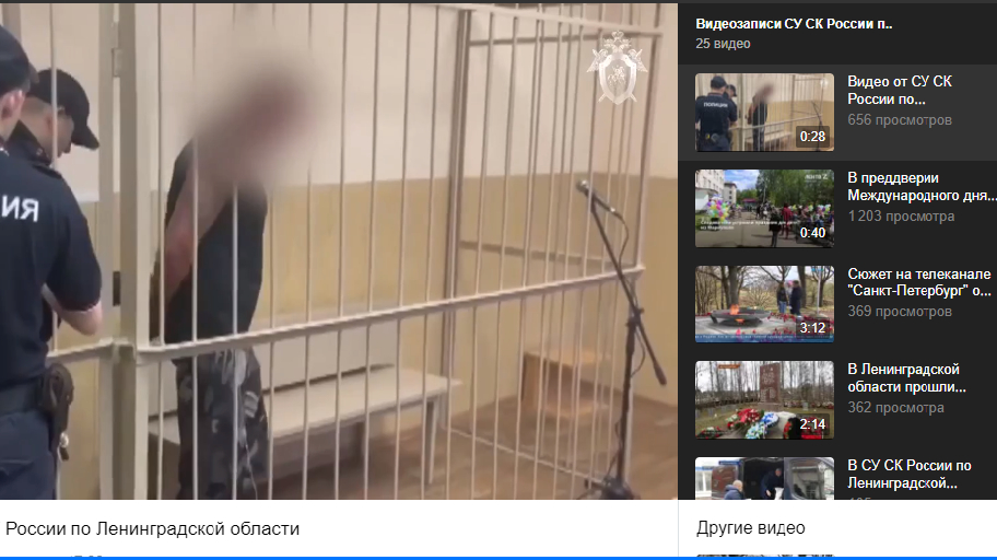 Замглавы фонда ленобласти. Замглавы фонда ленобласти. Решение суда фото. Замглавы фонда ленобласти. Обвиняемый в суде за решеткой.